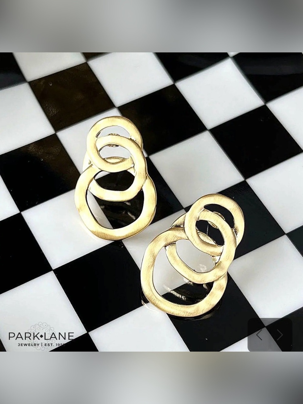 Park Lane “Hudson” Earrings! BNIB!!